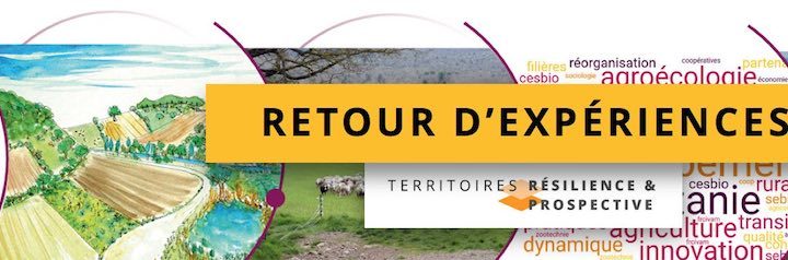 Questionnaire : Retour d’expériences PSDR 4 Occitanie